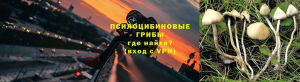 мет Елизово