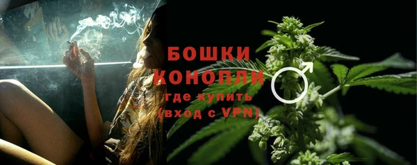 ALPHA PVP Ельня