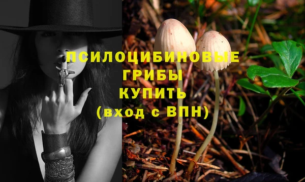 мет Елизово