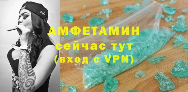 индика Инта