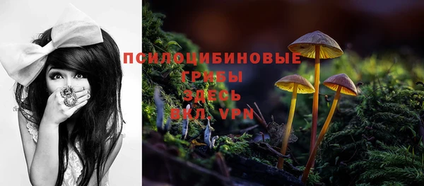ALPHA PVP Ельня