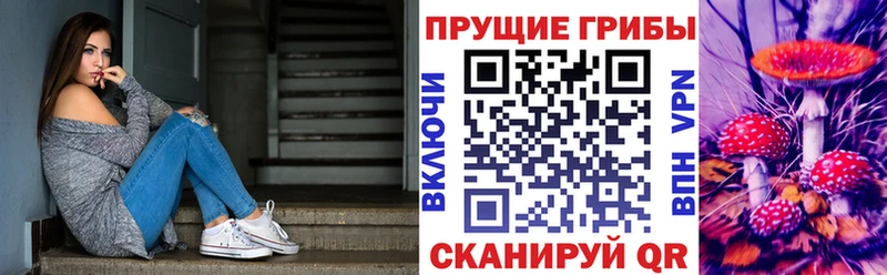 Псилоцибиновые грибы Psilocybe  где продают   Донской 