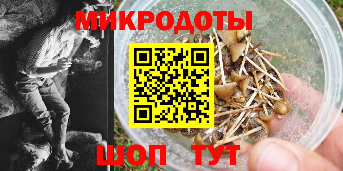 Псилоцибиновые грибы GOLDEN TEACHER Донской
