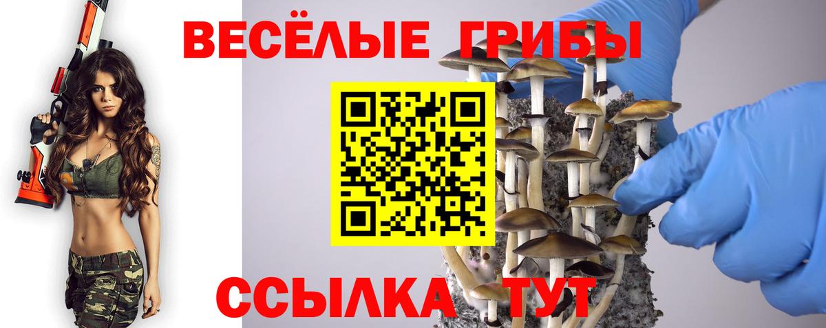 Донской  Псилоцибиновые грибы прущие грибы  Галлюциногенные грибы GOLDEN TEACHER  Вход с VPN 